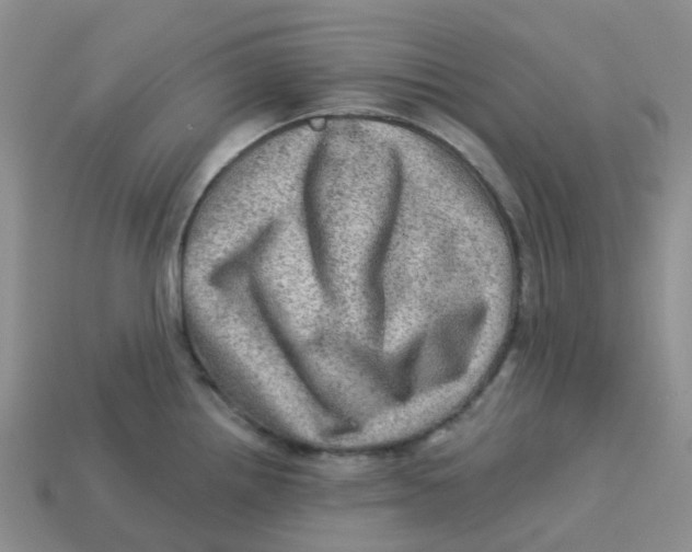 X0000113571242200910161511