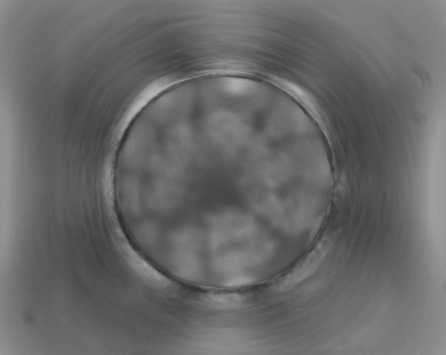 X0000113571243200910161511