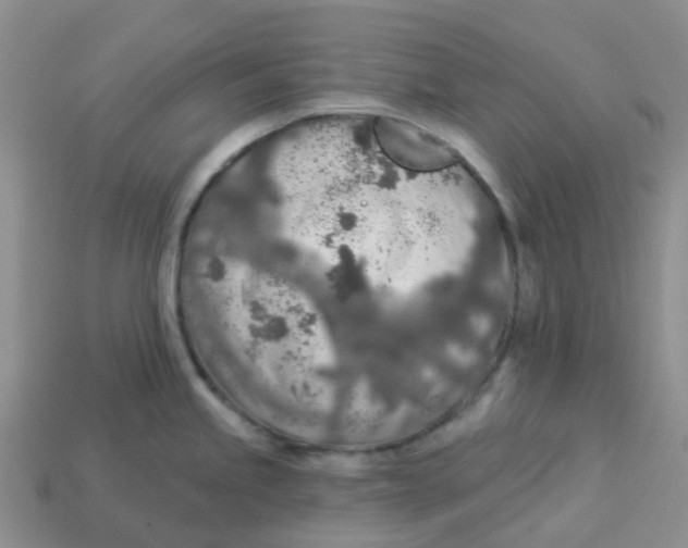 X0000113571245200910161511