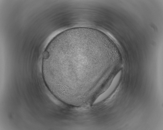 X0000113571246200910161511