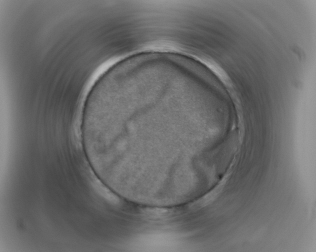 X0000113571248200910161511