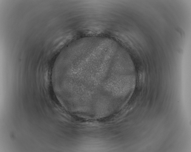 X0000113571250200910161511