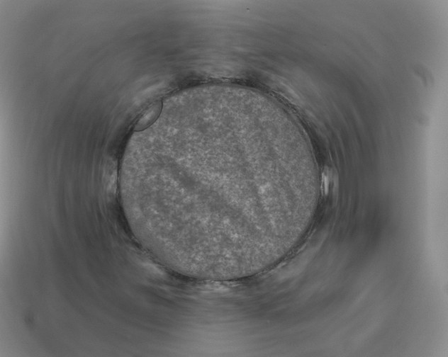 X0000113571251200910161511