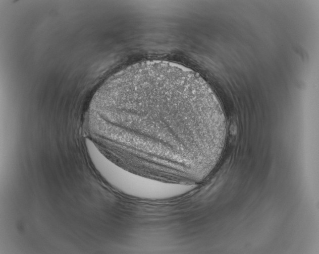 X0000113571252200910161511