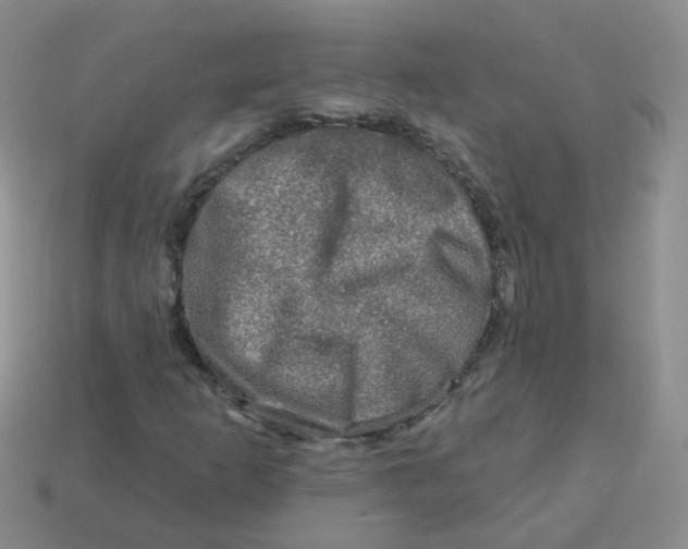 X0000113571253200910161511