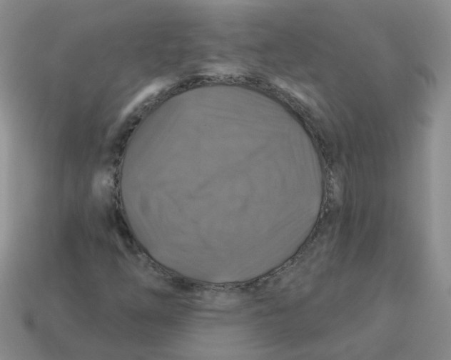 X0000113571254200910161510