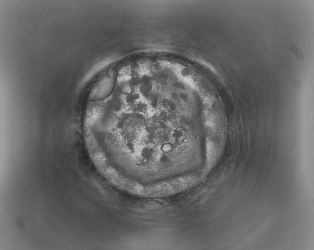 X0000113571255200910161510