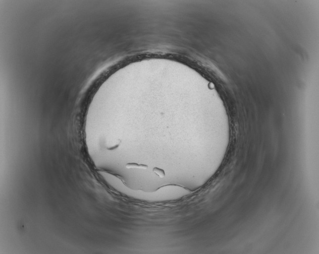 X0000113571256200910161510