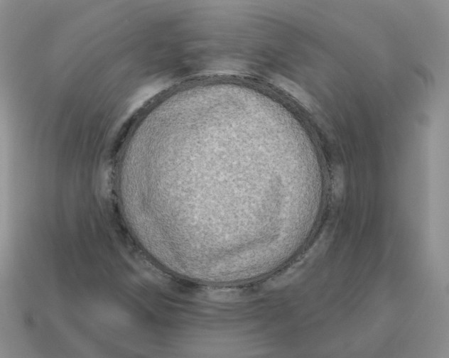 X0000113571258200910161510