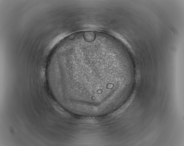 X0000113571259200910161510