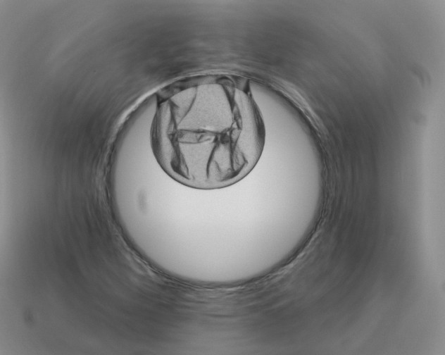 X0000113571260200910161510