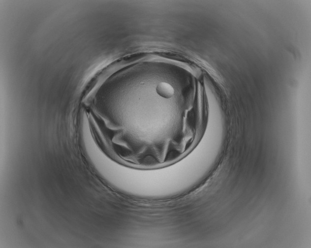 X0000113571261200910161510