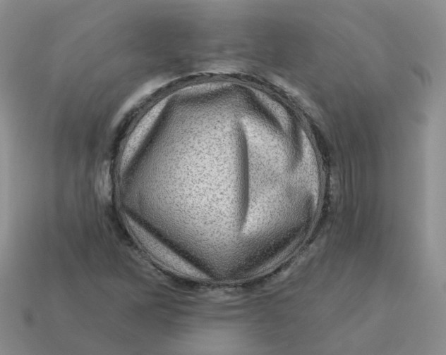 X0000113571262200910161510