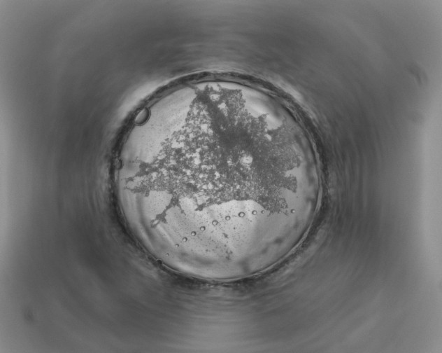 X0000113571263200910161510