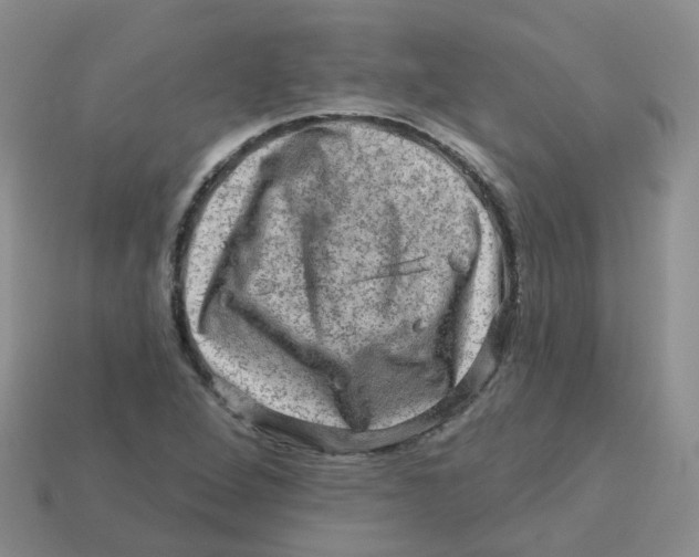 X0000113571264200910161510