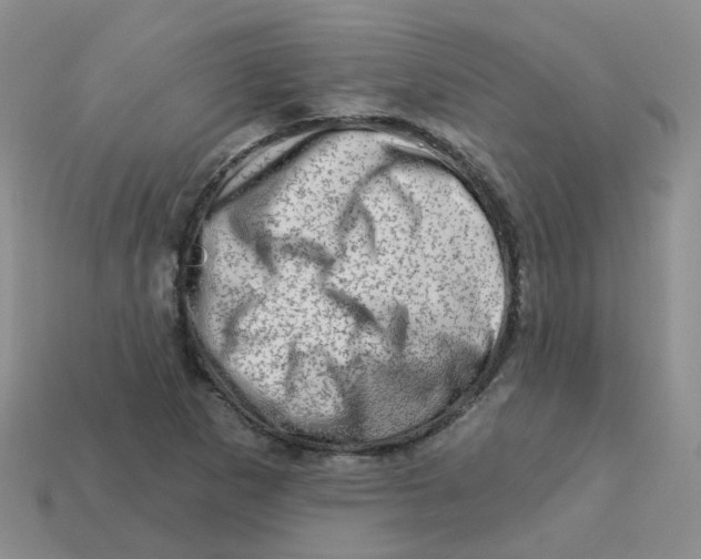 X0000113571265200910161510