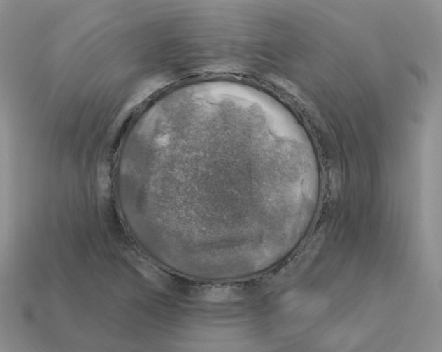 X0000113571266200910161510