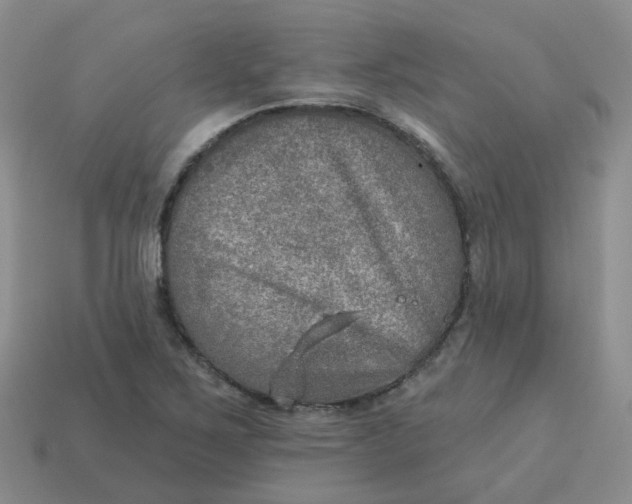 X0000113571267200910161510