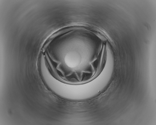 X0000113571268200910161510