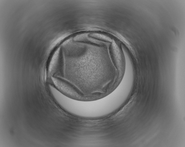 X0000113571269200910161510