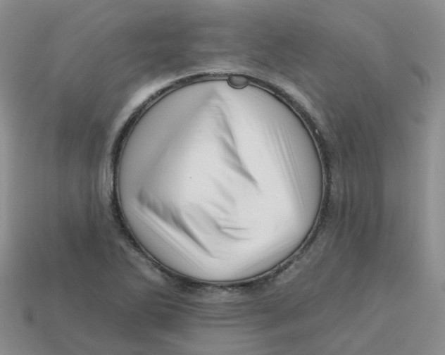 X0000113571270200910161510