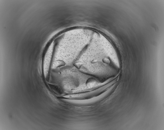 X0000113571272200910161510