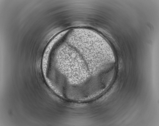 X0000113571273200910161510