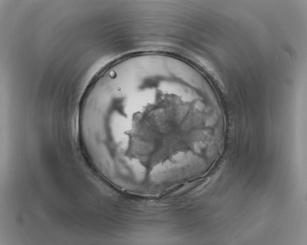 X0000113571275200910161510