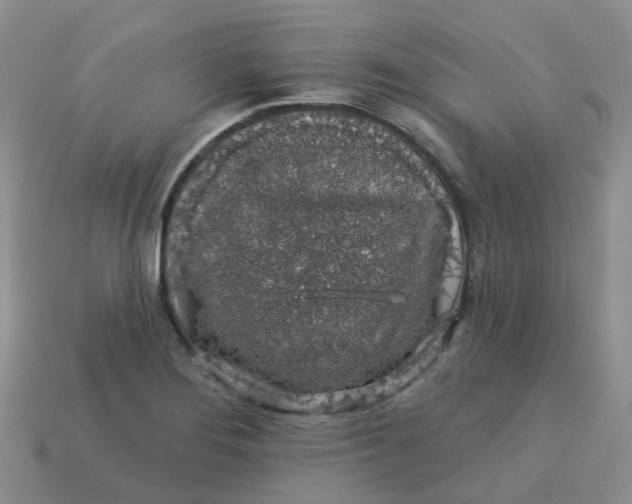 X0000113571276200910161510