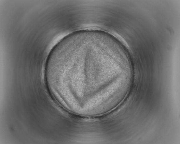 X0000113571277200910161510