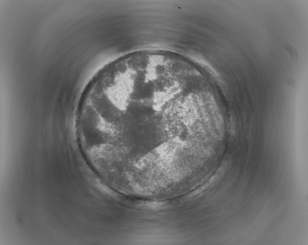 X0000113571278200910161510