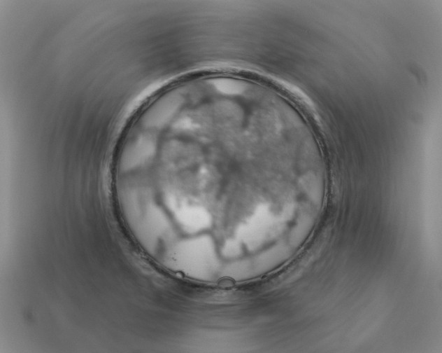 X0000113571279200910161510