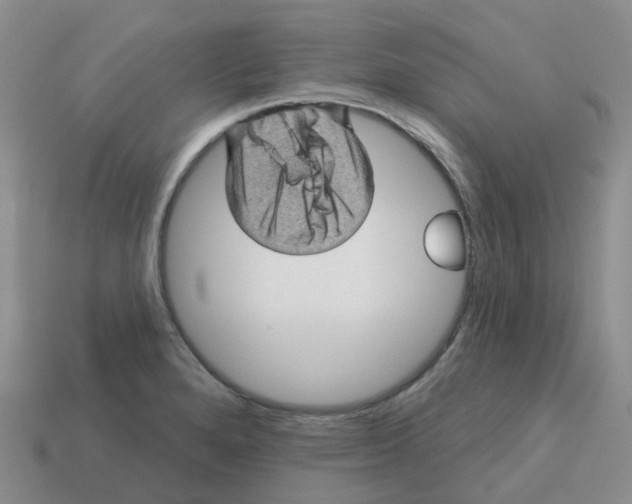 X0000113571280200910161510