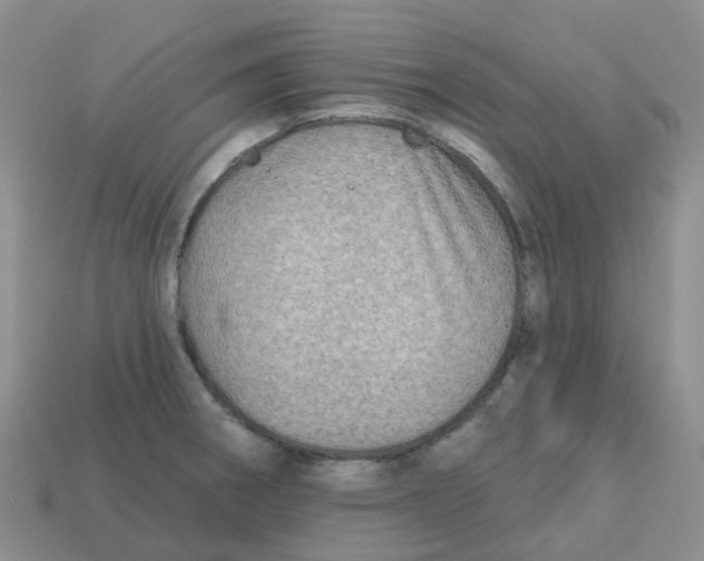 X0000113571282200910161510