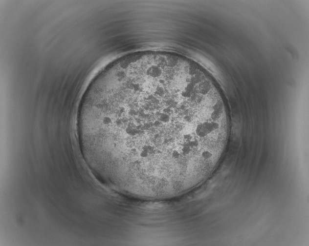 X0000113571283200910161510