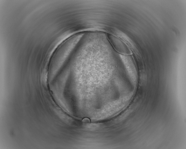 X0000113571284200910161510