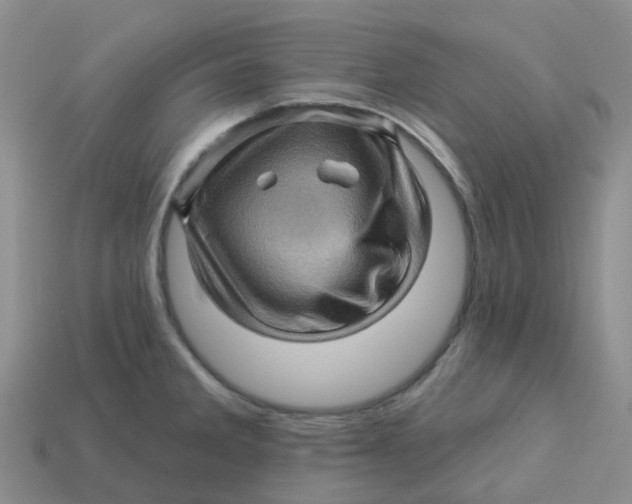 X0000113571285200910161510