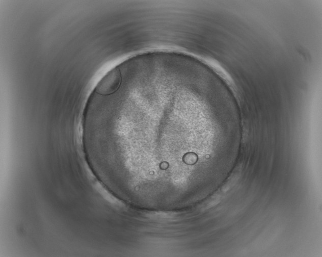 X0000113571287200910161510