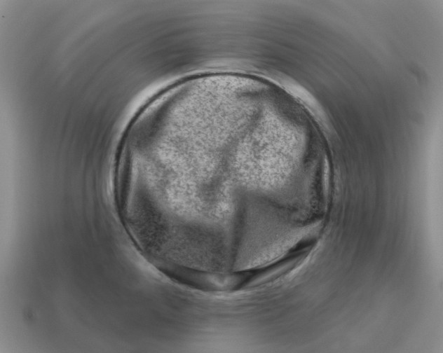 X0000113571288200910161510