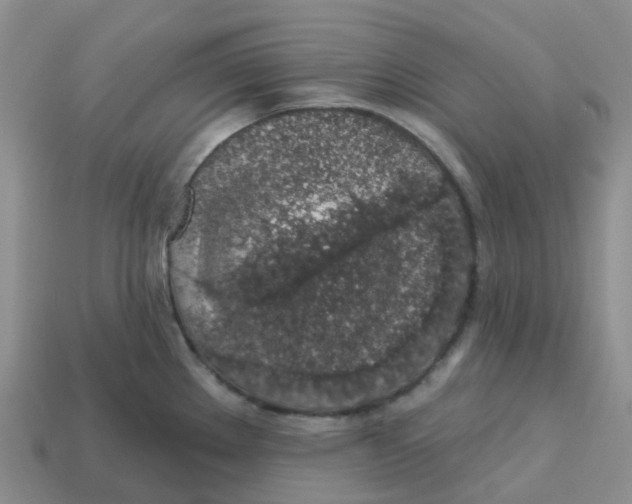 X0000113571289200910161510