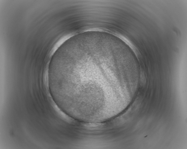 X0000113571290200910161510