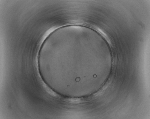 X0000113571291200910161510