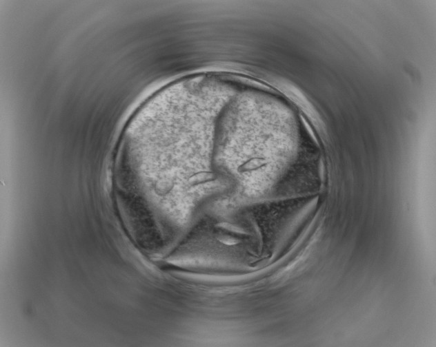 X0000113571292200910161510