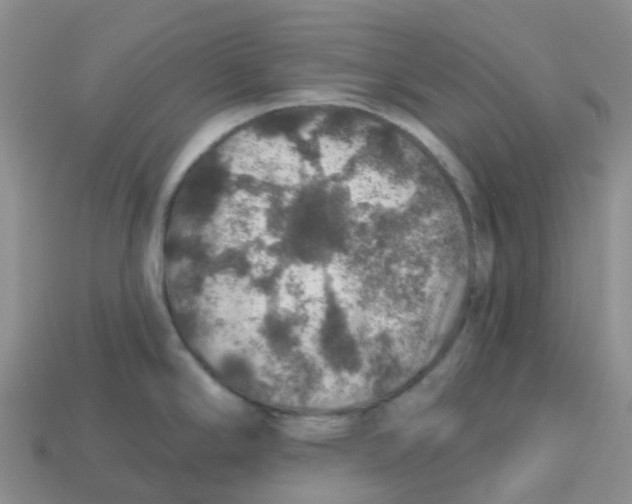 X0000113571294200910161510