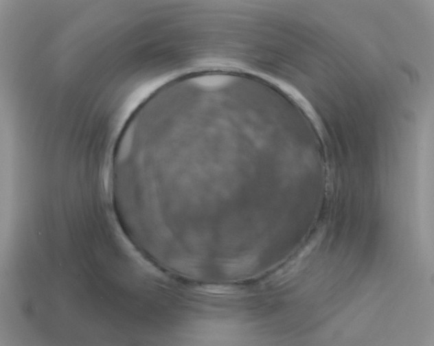 X0000113571295200910161510