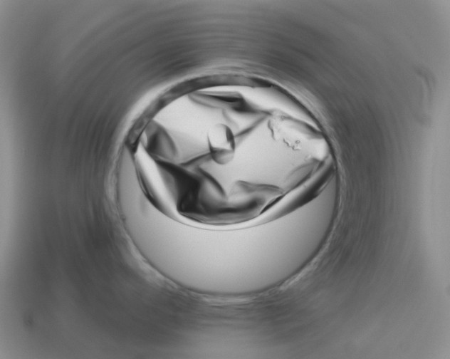 X0000113571296200910161510