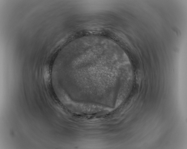 X0000113571298200910161509