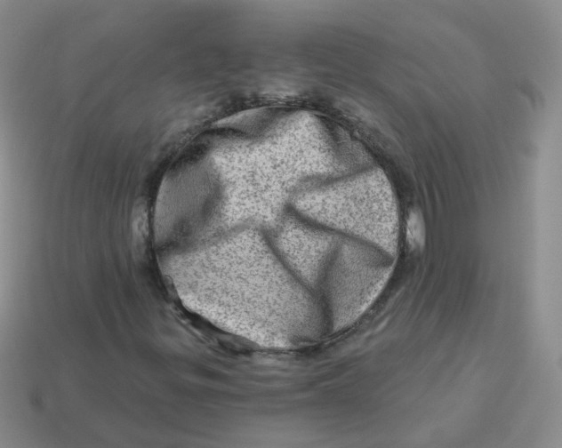 X0000113571299200910161509