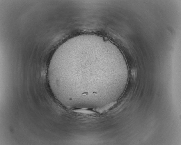 X0000113571300200910161509