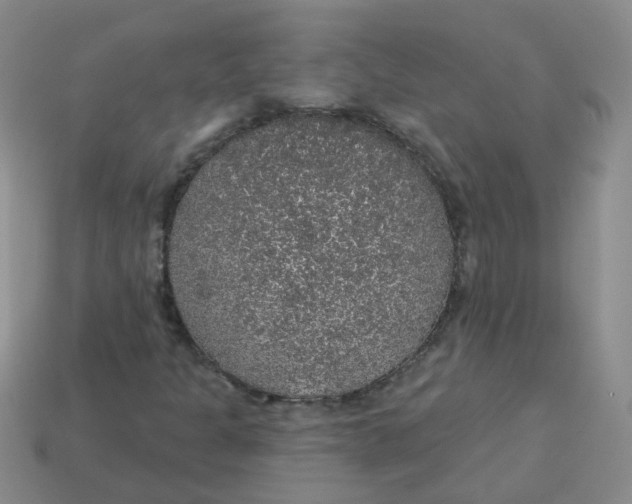 X0000113571301200910161509